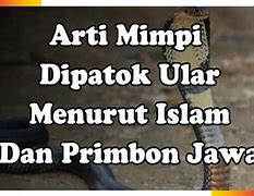 Arti Mimpi Digigit Ular Di Tangan Kiri Menurut Primbon Jawa